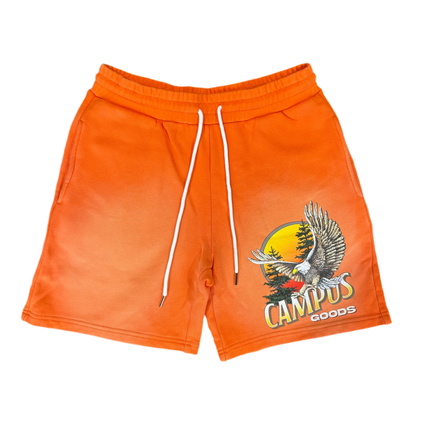 Highway Terry Shorts