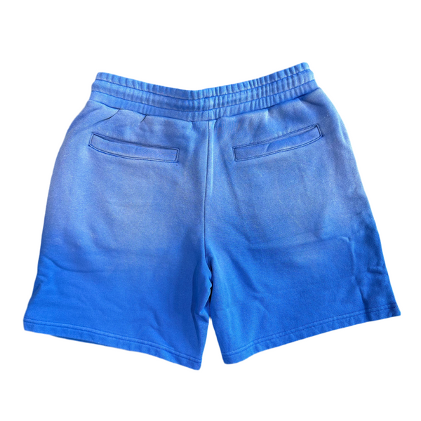 Blue Motto Terry Shorts