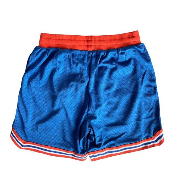 Dior Basketball Shorts